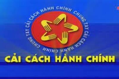 Quyết định công bố Danh mục thủ tục hành chính và phê duyệt quy trình nội bộ giải quyết TTHC trong lĩnh vực chính sách thuế, đầu tư nông nghiệp, nông thôn thuộc thẩm quyền quản lý, giải quyết của Sở Nông nghiệp và Môi trường, UBND cấp huyện, UBND cấp xã trên địa bàn tỉnh Quảng Ngãi